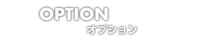 OPTION